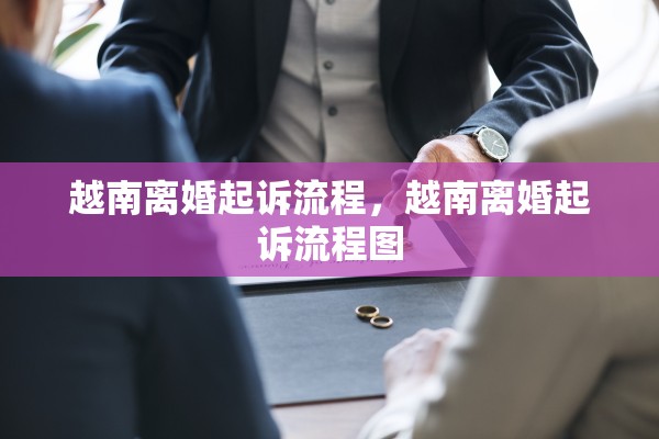 越南离婚起诉流程，越南离婚起诉流程图