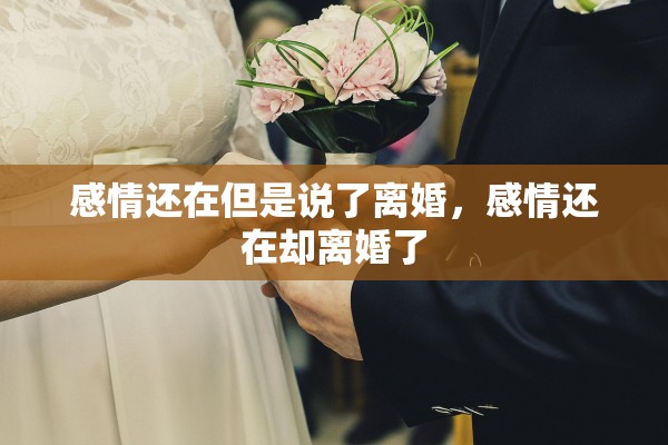感情还在但是说了离婚，感情还在却离婚了
