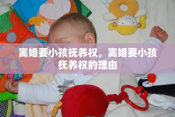 离婚要小孩抚养权，离婚要小孩抚养权的理由