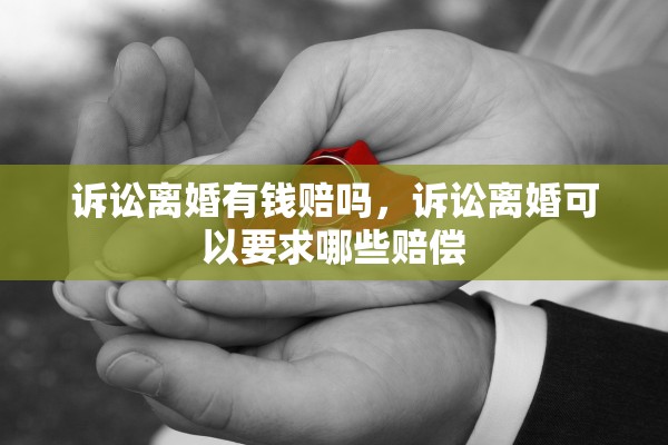 诉讼离婚有钱赔吗，诉讼离婚可以要求哪些赔偿