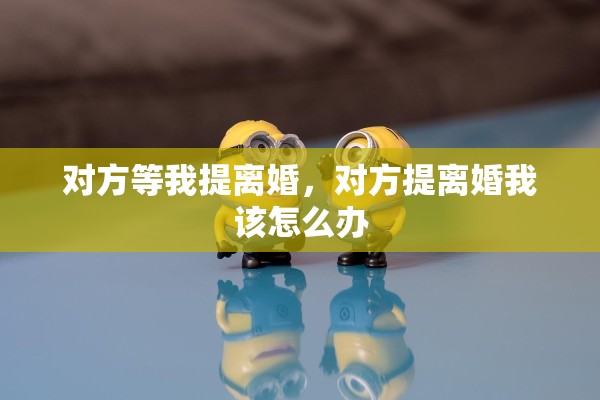 对方等我提离婚，对方提离婚我该怎么办