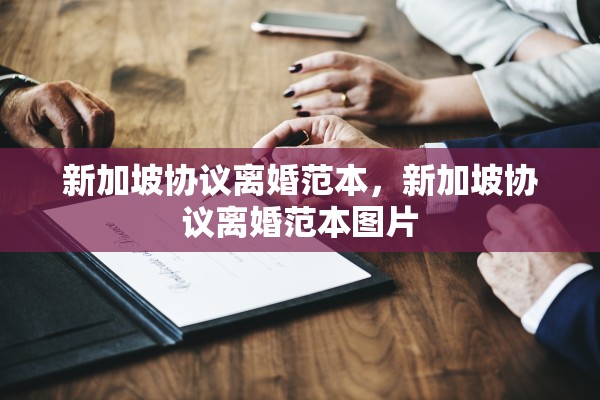 新加坡协议离婚范本，新加坡协议离婚范本图片