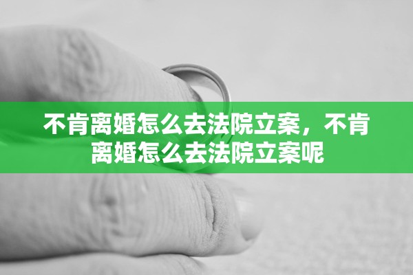 不肯离婚怎么去法院立案，不肯离婚怎么去法院立案呢