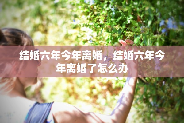 结婚六年今年离婚，结婚六年今年离婚了怎么办