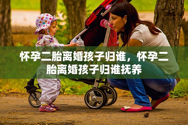 怀孕二胎离婚孩子归谁，怀孕二胎离婚孩子归谁抚养