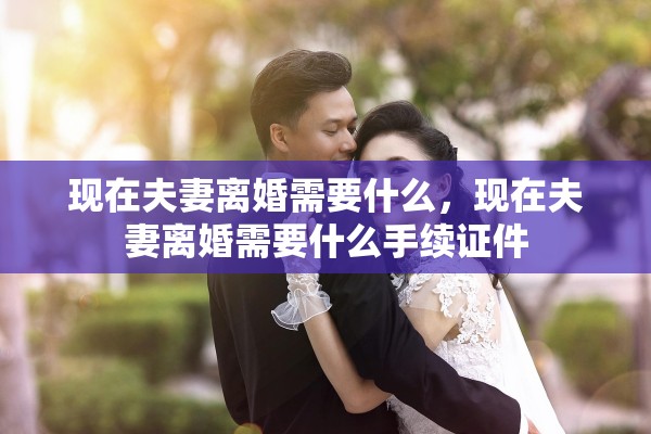 现在夫妻离婚需要什么，现在夫妻离婚需要什么手续证件