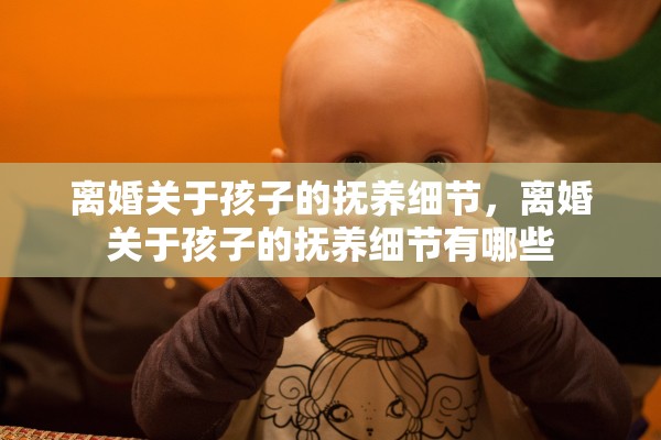 离婚关于孩子的抚养细节，离婚关于孩子的抚养细节有哪些