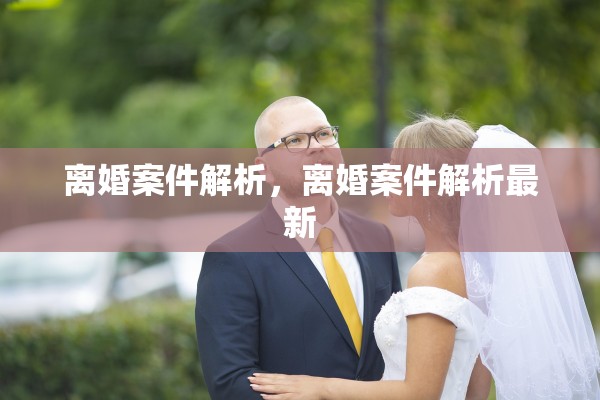 离婚案件解析，离婚案件解析最新