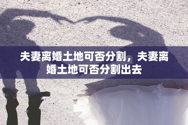 夫妻离婚土地可否分割，夫妻离婚土地可否分割出去