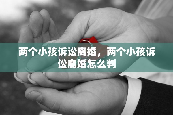 两个小孩诉讼离婚，两个小孩诉讼离婚怎么判