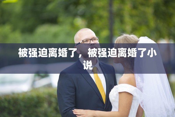 被强迫离婚了，被强迫离婚了小说