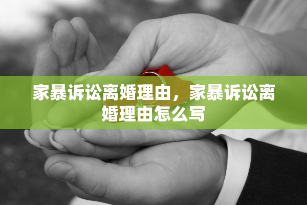 家暴诉讼离婚理由，家暴诉讼离婚理由怎么写