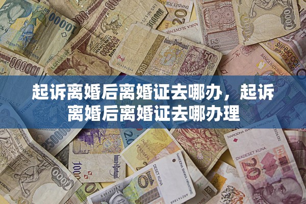 起诉离婚后离婚证去哪办，起诉离婚后离婚证去哪办理