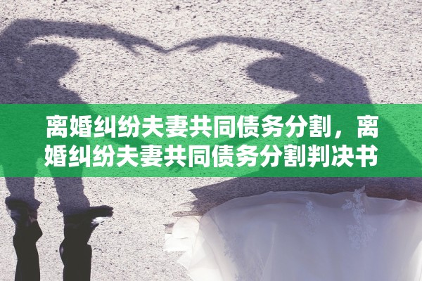离婚纠纷夫妻共同债务分割，离婚纠纷夫妻共同债务分割判决书