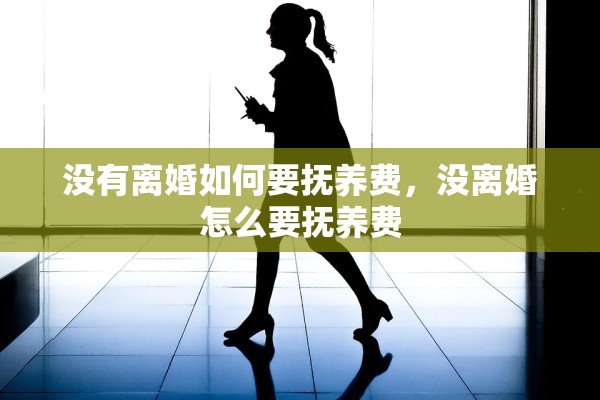 没有离婚如何要抚养费，没离婚怎么要抚养费