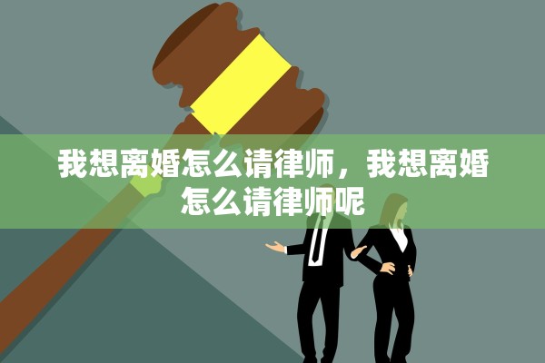我想离婚怎么请律师，我想离婚怎么请律师呢