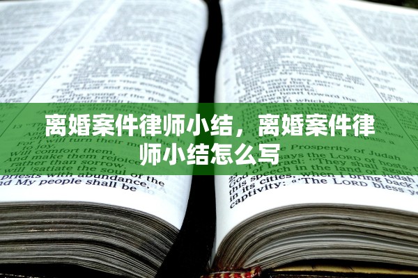 离婚案件律师小结，离婚案件律师小结怎么写