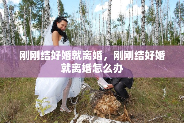 刚刚结好婚就离婚，刚刚结好婚就离婚怎么办