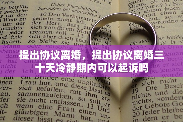 提出协议离婚，提出协议离婚三十天冷静期内可以起诉吗