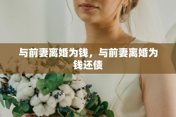 与前妻离婚为钱，与前妻离婚为钱还债