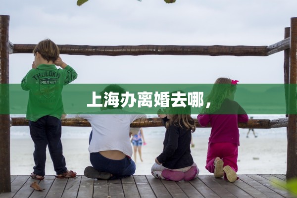 上海办离婚去哪，