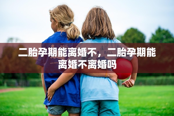 二胎孕期能离婚不，二胎孕期能离婚不离婚吗