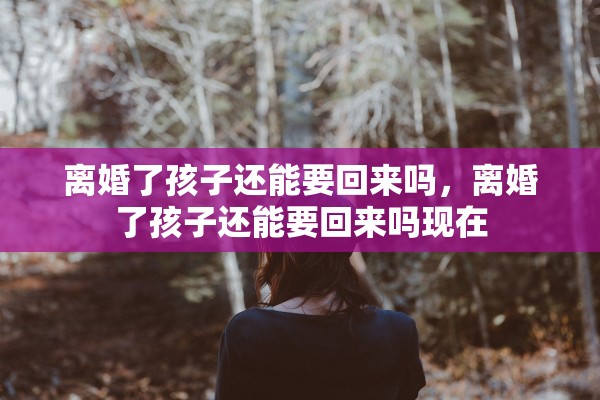 离婚了孩子还能要回来吗，离婚了孩子还能要回来吗现在