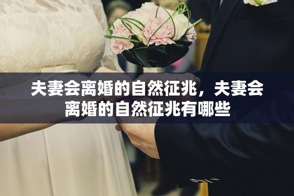夫妻会离婚的自然征兆，夫妻会离婚的自然征兆有哪些