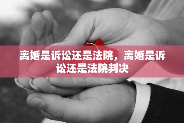 离婚是诉讼还是法院，离婚是诉讼还是法院判决