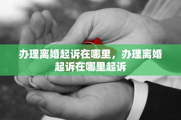 办理离婚起诉在哪里，办理离婚起诉在哪里起诉