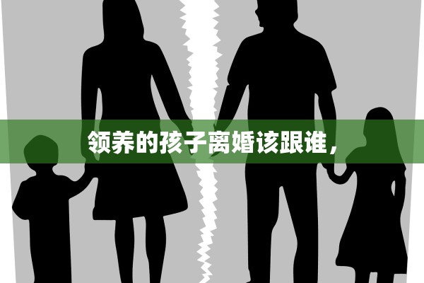 领养的孩子离婚该跟谁，