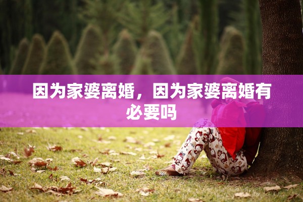 因为家婆离婚，因为家婆离婚有必要吗