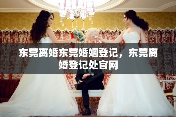 东莞离婚东莞婚姻登记，东莞离婚登记处官网