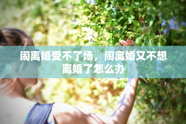 闹离婚受不了场，闹离婚又不想离婚了怎么办
