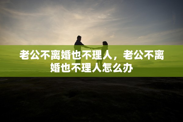 老公不离婚也不理人，老公不离婚也不理人怎么办