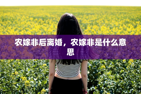 农嫁非后离婚，农嫁非是什么意思