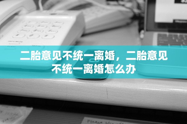 二胎意见不统一离婚，二胎意见不统一离婚怎么办