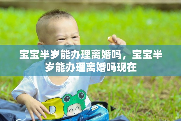 宝宝半岁能办理离婚吗，宝宝半岁能办理离婚吗现在