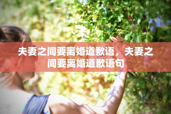 夫妻之间要离婚道歉语，夫妻之间要离婚道歉语句