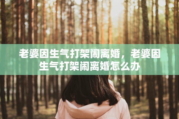 老婆因生气打架闹离婚，老婆因生气打架闹离婚怎么办