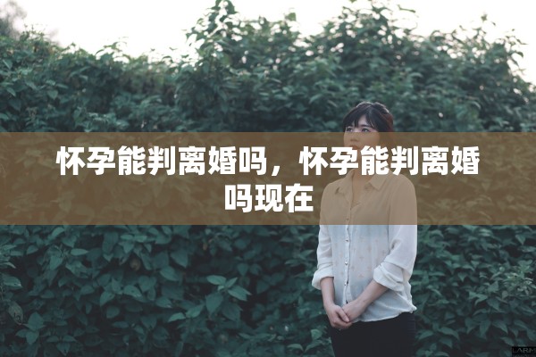 怀孕能判离婚吗，怀孕能判离婚吗现在