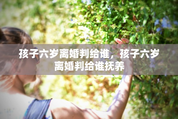 孩子六岁离婚判给谁，孩子六岁离婚判给谁抚养
