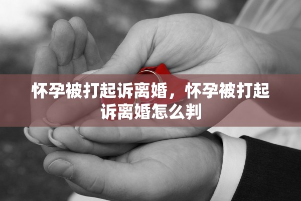 怀孕被打起诉离婚，怀孕被打起诉离婚怎么判