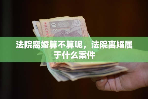 法院离婚算不算呢，法院离婚属于什么案件