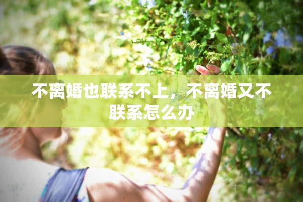 不离婚也联系不上，不离婚又不联系怎么办