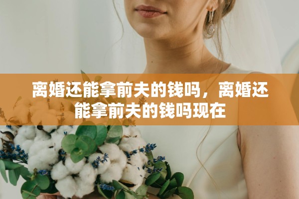 离婚还能拿前夫的钱吗，离婚还能拿前夫的钱吗现在
