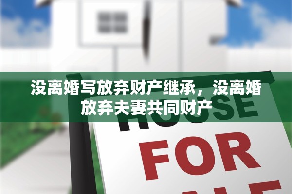 没离婚写放弃财产继承，没离婚放弃夫妻共同财产