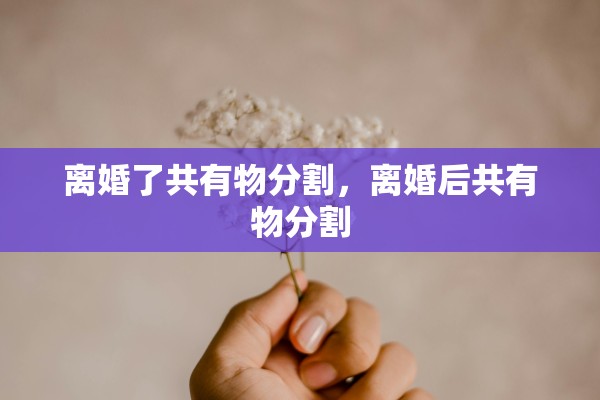 离婚了共有物分割，离婚后共有物分割
