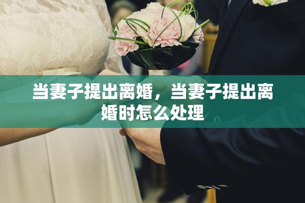 当妻子提出离婚，当妻子提出离婚时怎么处理