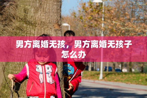 男方离婚无孩，男方离婚无孩子怎么办